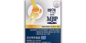 2024 뼈엔 엠비피 MBP 12개월분 랭킹순위 BEST