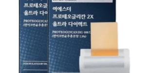 2024년 최고의 여에스더 프로테오글리칸 2X 울트라 다이렉트 20박스40주분 베스트 8