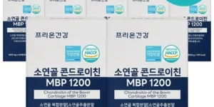 가성비최고 콘드로이친MBP12박스 추천 탑 8