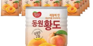 2024년 최고의 황도400g 특가정보